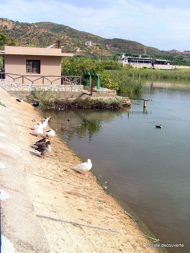 Hania : Agia la digue du lac artificiel