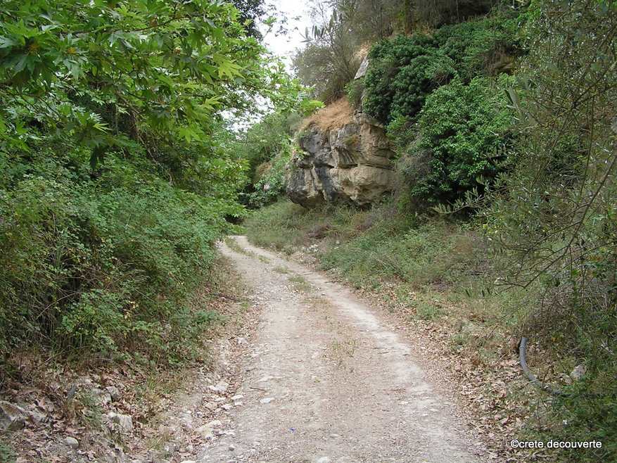 Chemin dans la vallée d'Apolychnou, Apolichnos Chemin dans la vallée d'Apolychnou, Apolichnos