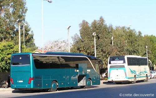 bus crtois verts ou beiges