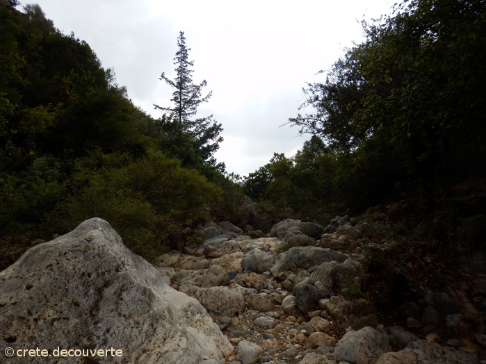 Diktamos : aval de la gorge prs de Farangi