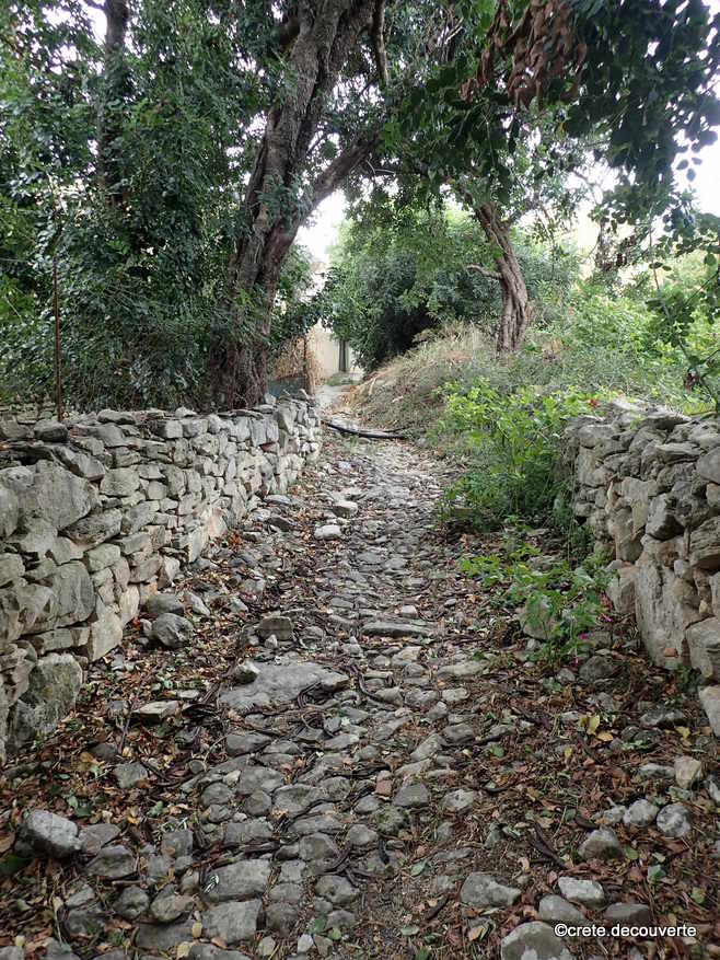Douliana chemin pav pour Agios Ioannis