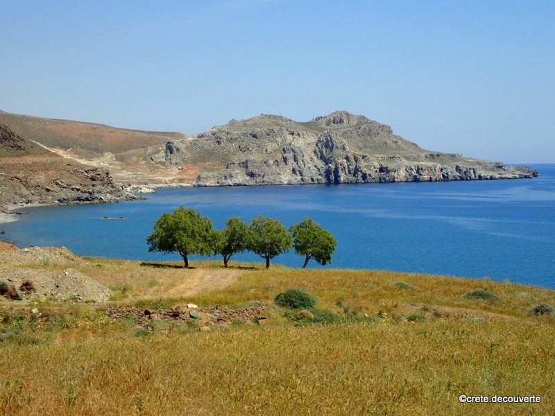 Pninsule du cap Trafoulas