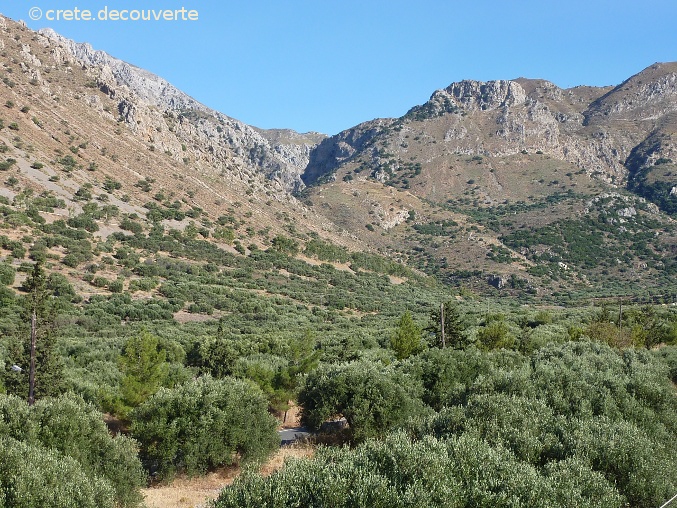 Gorge de Mesonas