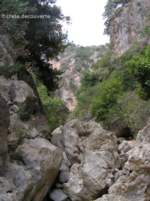 La gorge du Dictame