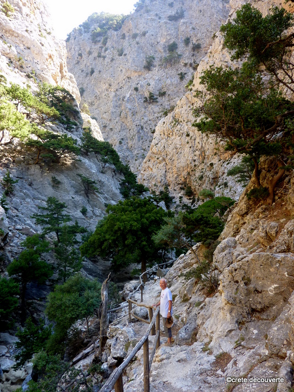 La gorge de Rouvas  Zaros