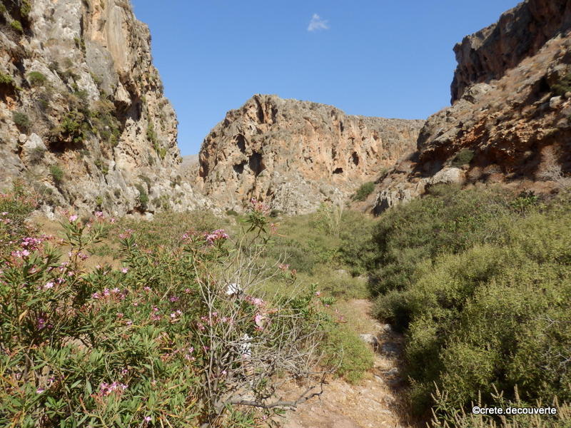 Gorge Katsounaki Xerokambos