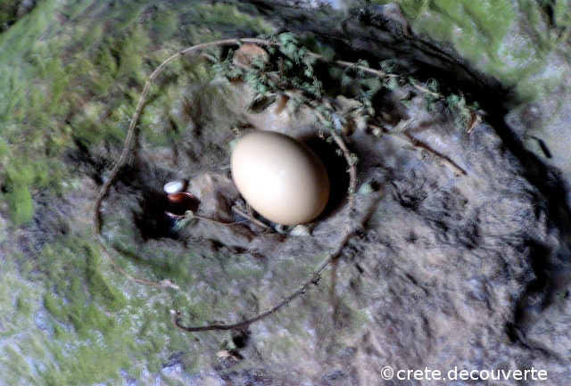 Offrandes dposes dans le creux de la roche