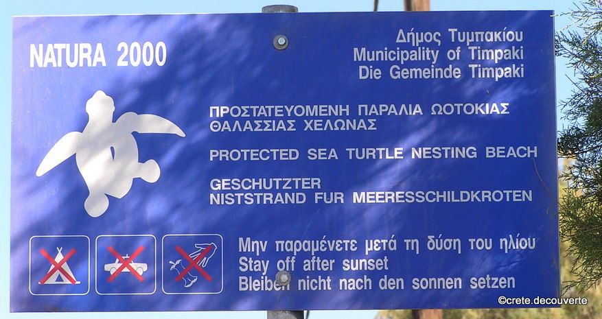 Kokkinos Pirgos panneau protection tortues