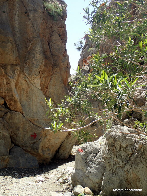 Gorge de Trafoulas