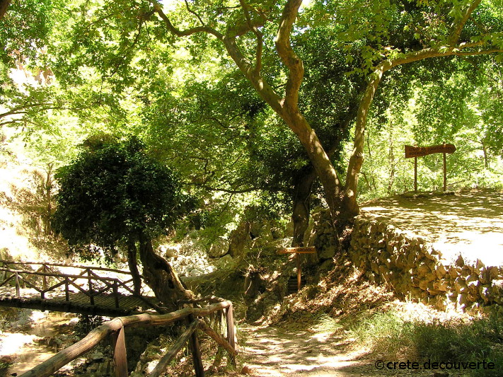 Patsos : gorges d'Agios Antonios, dpart des 2 chemins