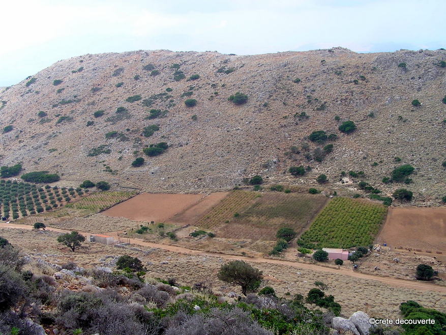 cultures dans la dpression de Giona Rodopou