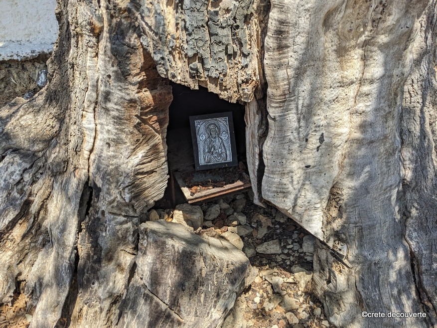 Sanctuaire au creux de l'arbre