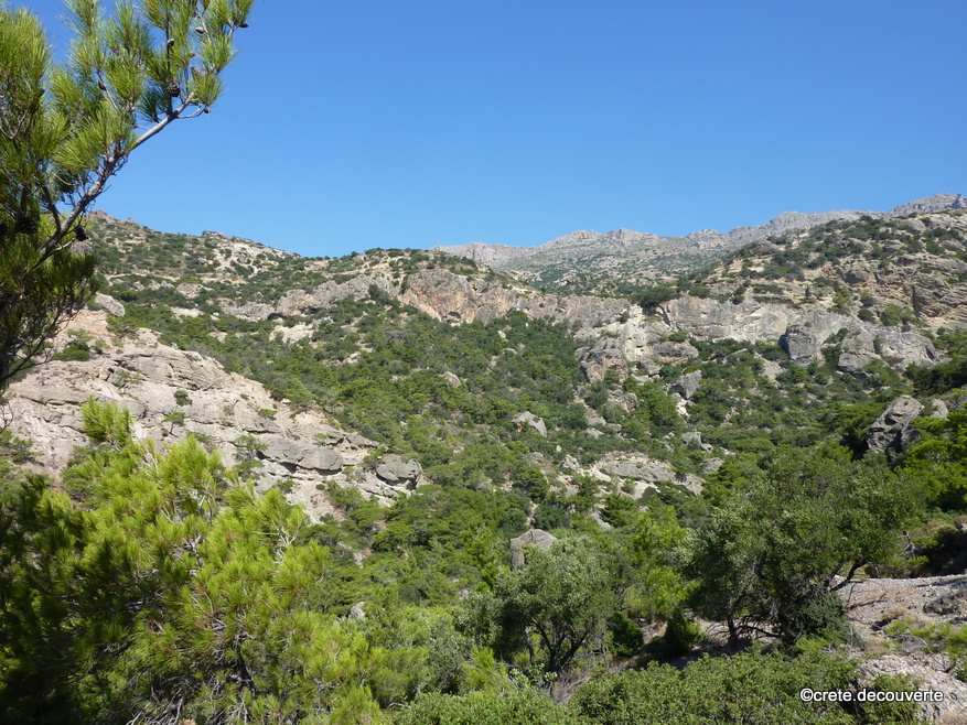 Thripti : pinde sur le versant sud et cascade de Milonas
