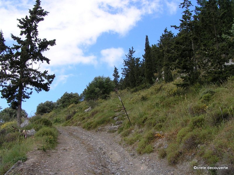 Escaliers au dpart du sentier