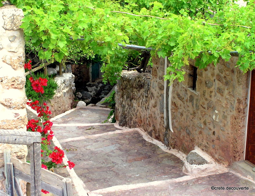 Zakros Source Maisonnette traditionnelle