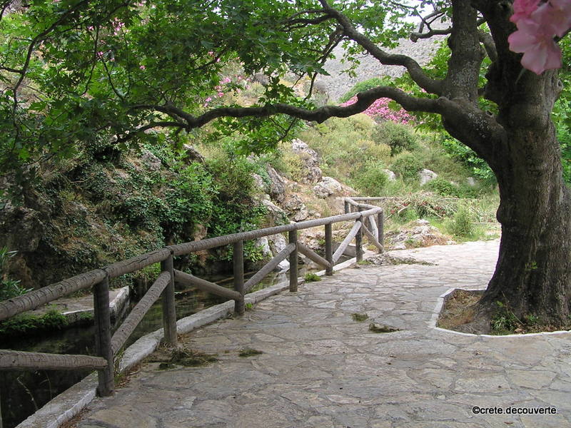 Source de Zakros