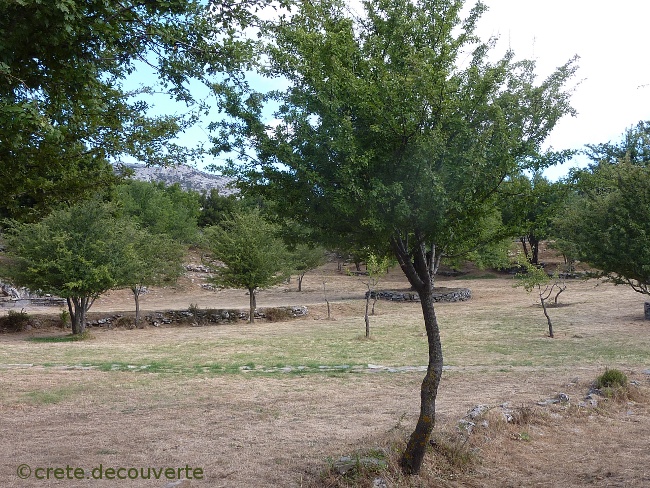 Le site des fouilles de Zominthos