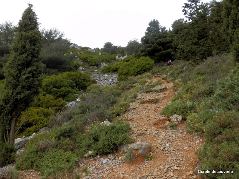 Vers le sommet du Mont Youktas