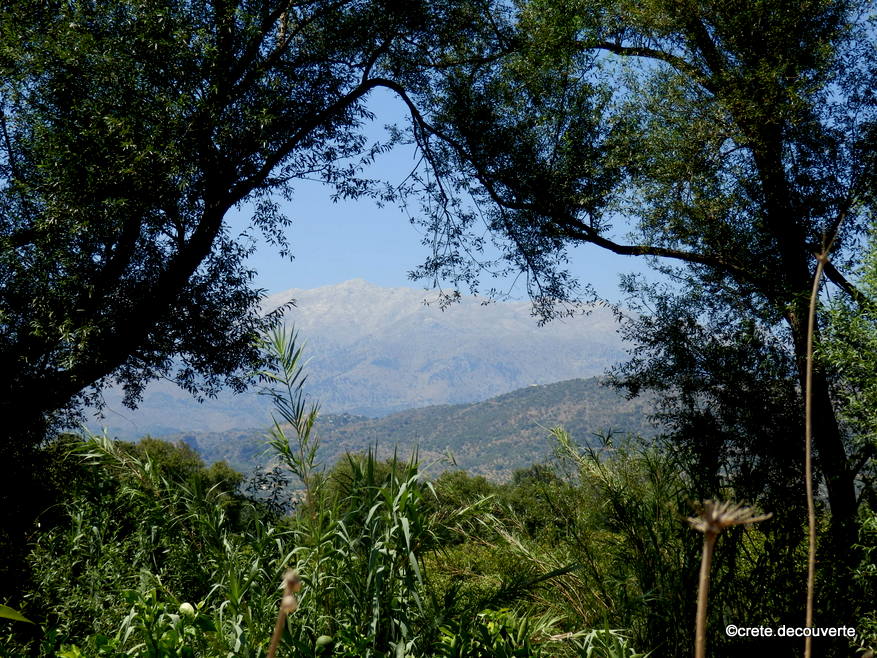 Rivire Koiliaris