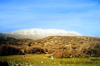 Plateau de Zominthos et Mont Psiloritis