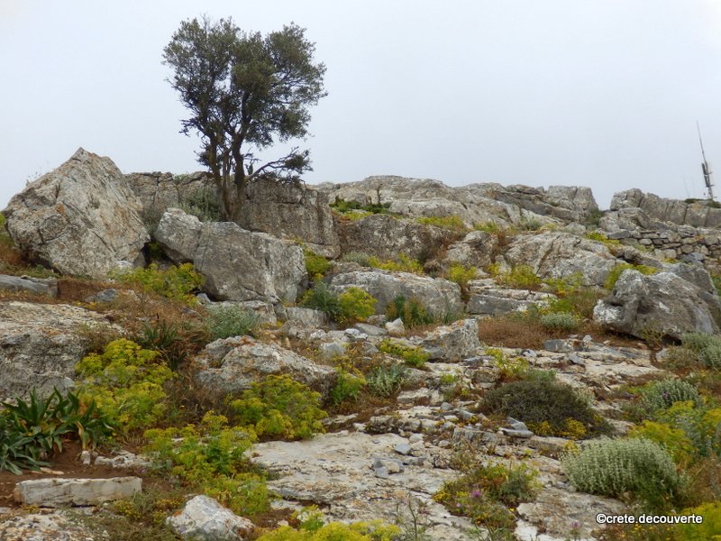 Sanctuaire minoen de sommet du Iouktas